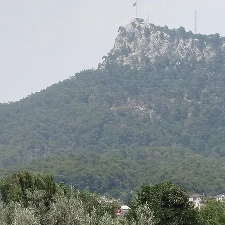 Agave Apartament