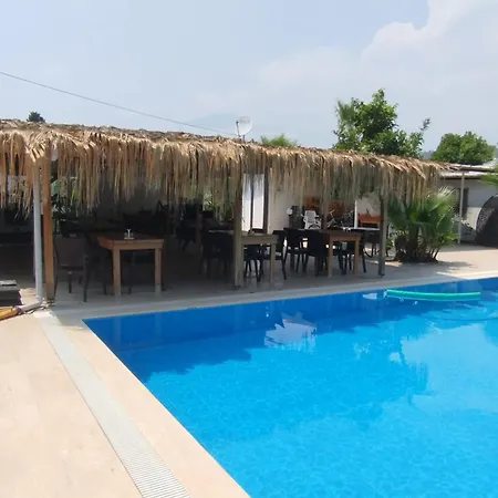 Agave Kemer